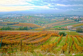Colline Teramane DOCG wines of Abruzzo