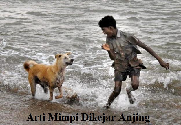 Makna Mimpi Dikejar Anjing Nasi Makna Mimpi Dikejar Anjing Nasi