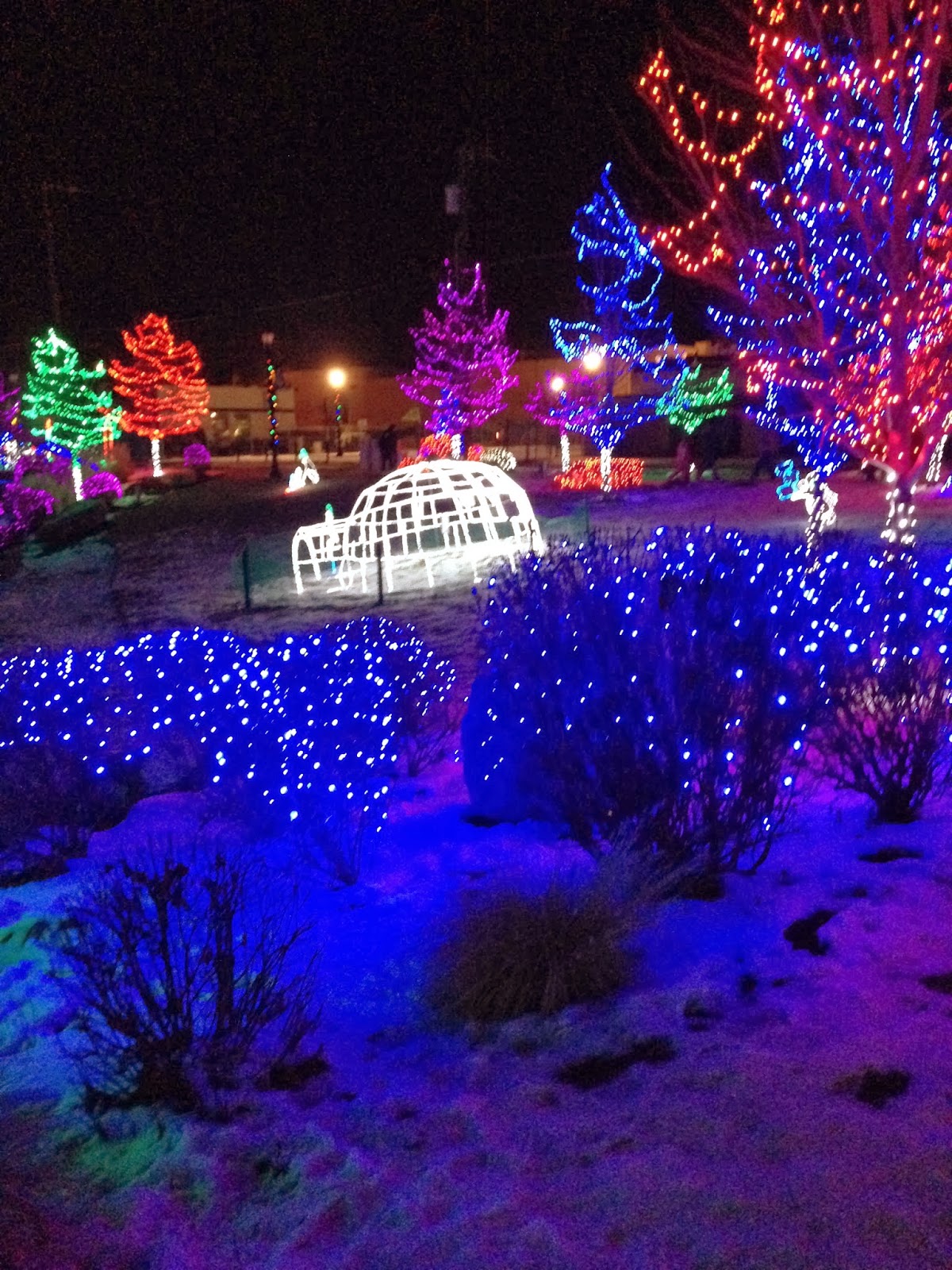 Lindsay Is A Lifetime Member Indian Creek Christmas Light Display