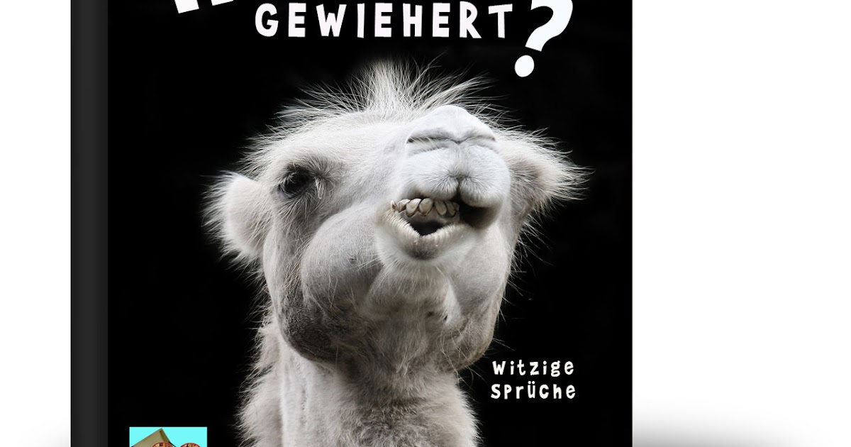 Buecher und EBooks Heute schon gewiehert? von Bärbel vom Berg