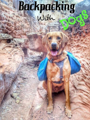 Backpacking with Dogs, Hiking in Utah with Dogs