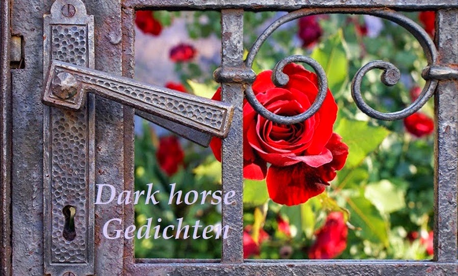 Dark horse Gedichten
