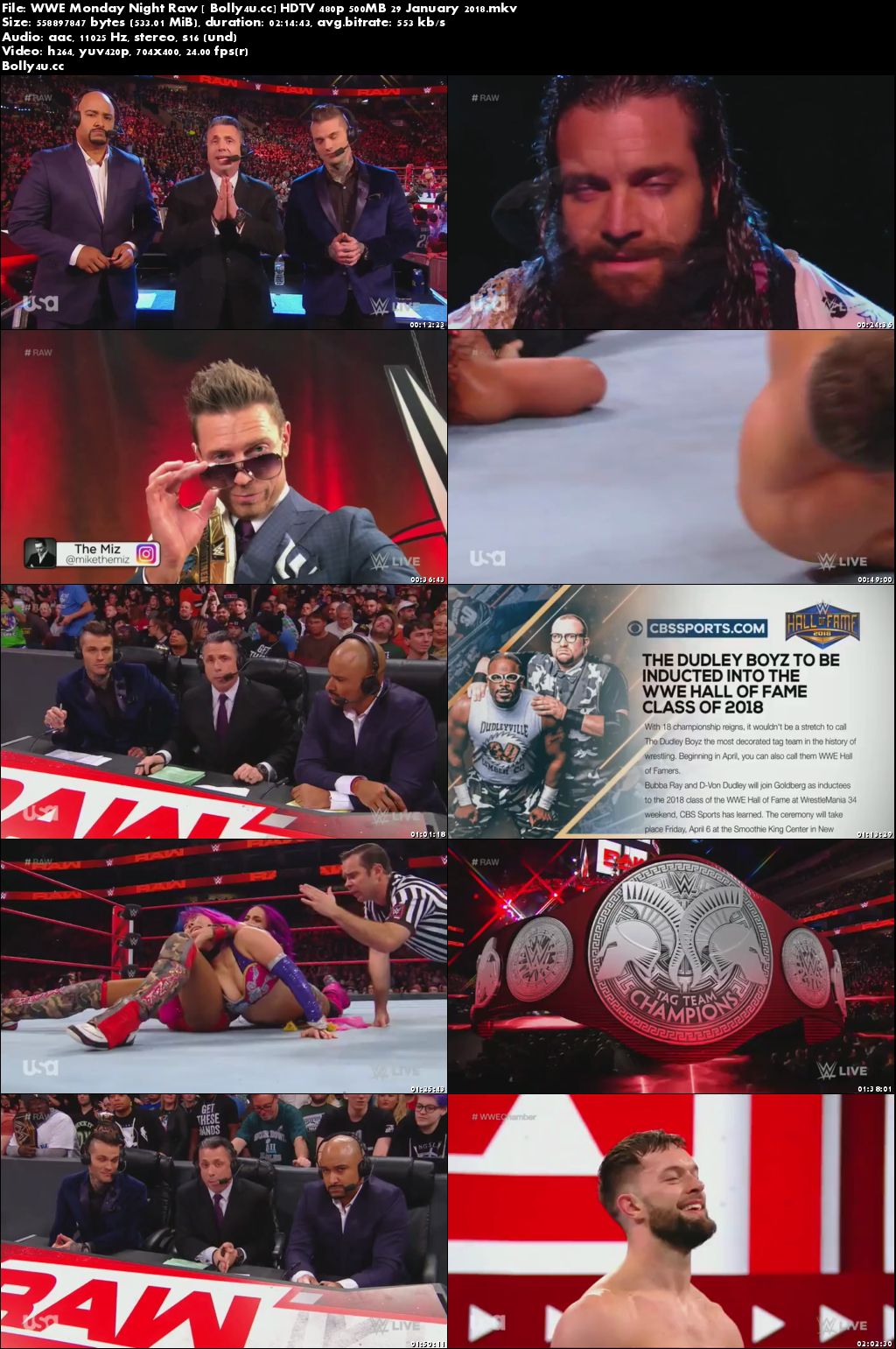 WWE Monday Night Raw HDTV 480p 500MB 29 January 2018 Download