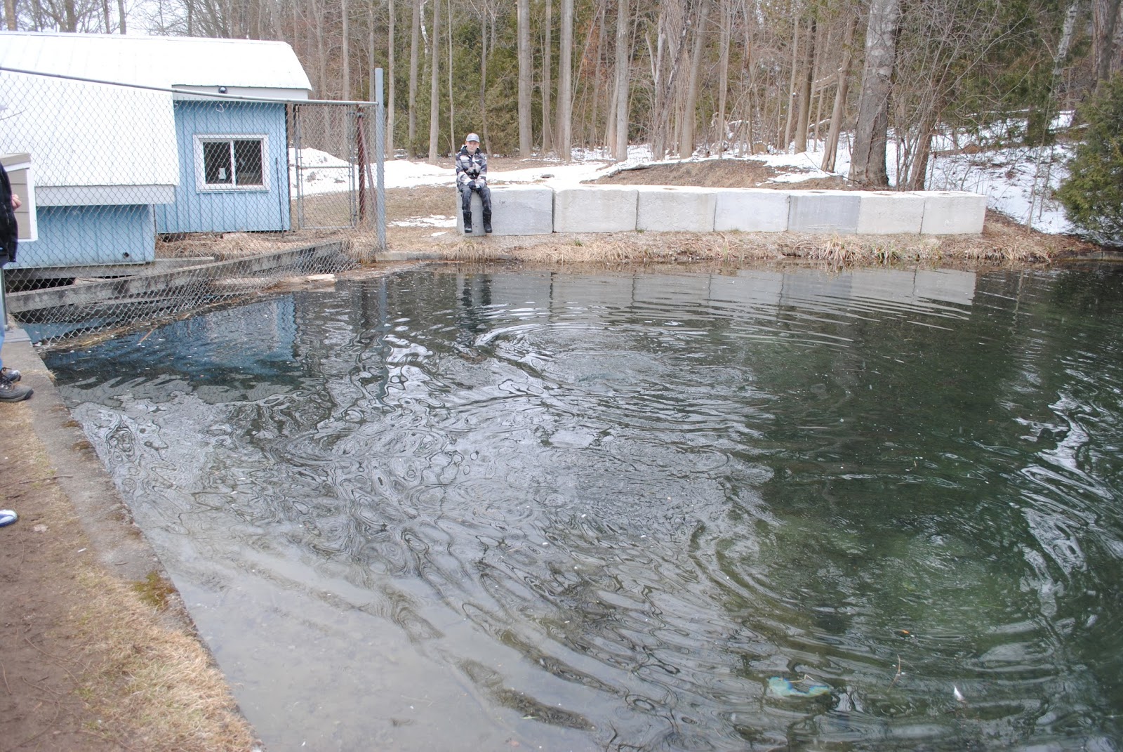Lake Huron Fishing Club School Salmon Hatcheries and Events Lake Huron