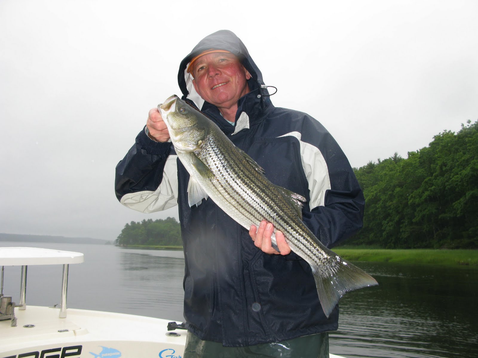 Maine Striper Fishing Charters & Reports Hotline 2076910745 Maine Striper Fishing With Super