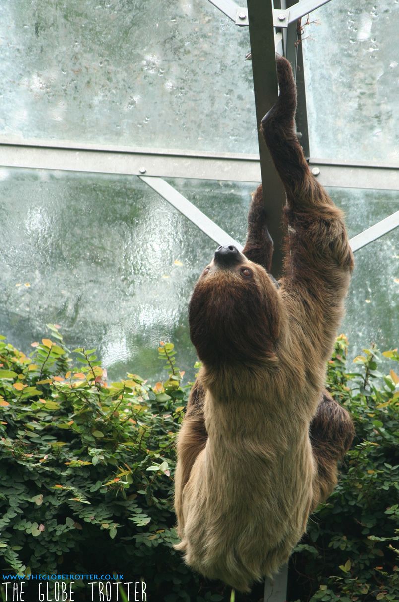 Cotswold Wildlife Park & Gardens The Globe Trotter