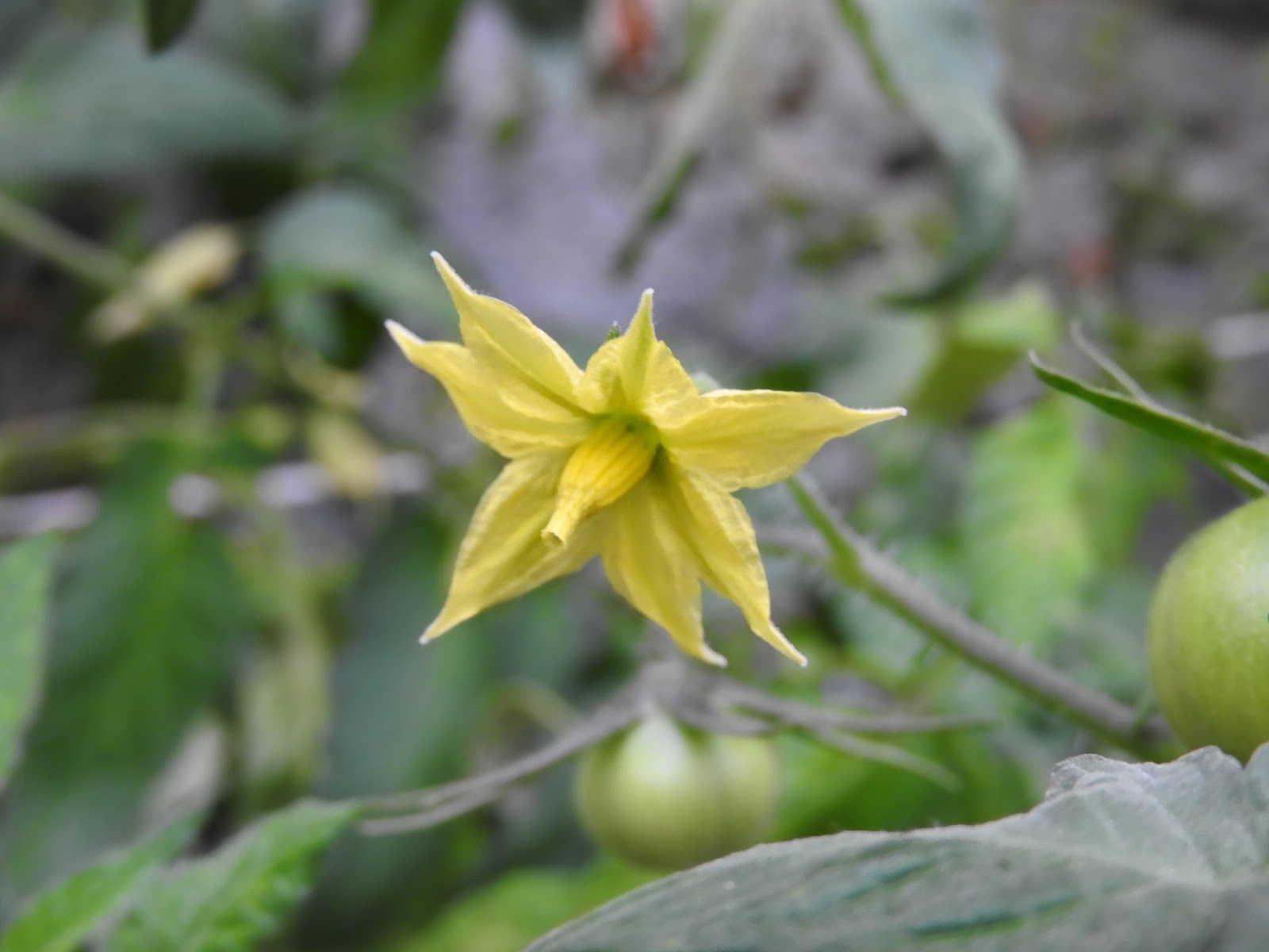unbrivido Fuori tempo massimo