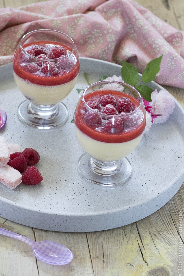 De Vous A Moi Mousses Chocolat Blanc Framboises