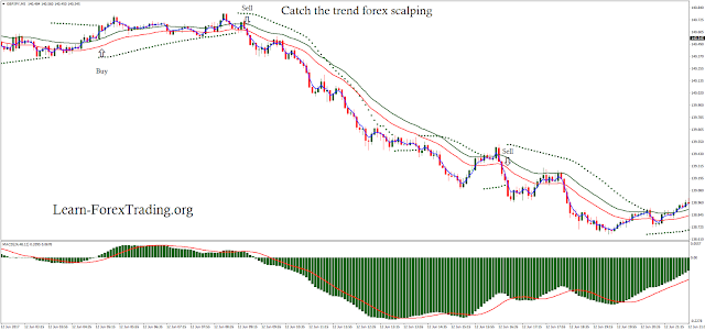 Catch the trend forex scalping