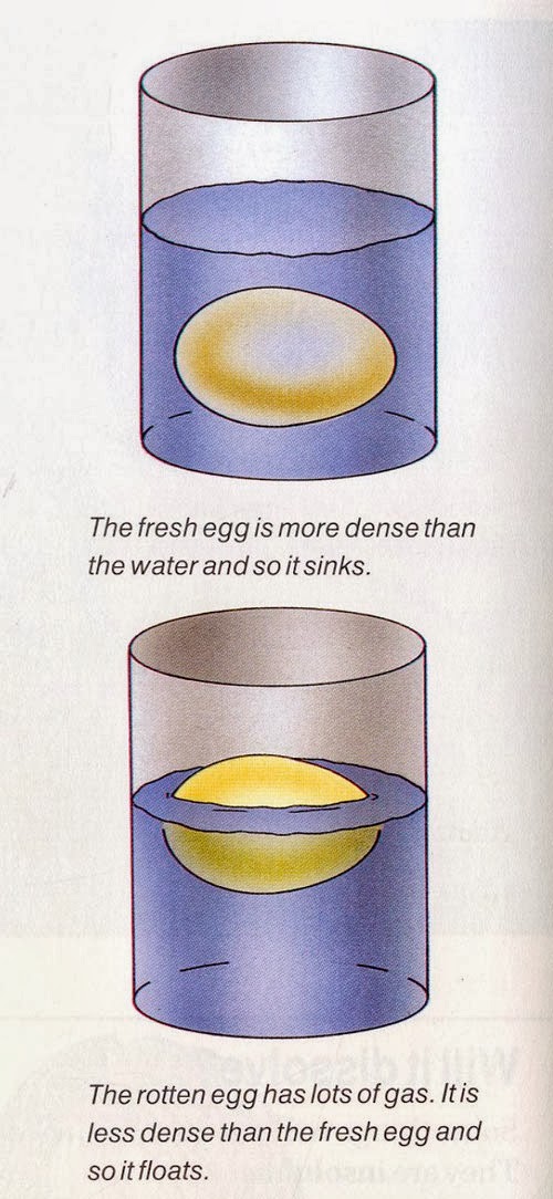 Floating by test for freshness eggs 4 Ways