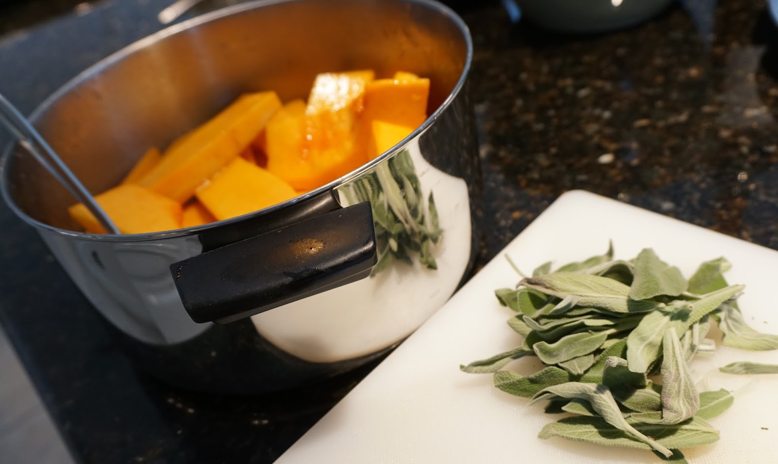 musings florida snow shovel