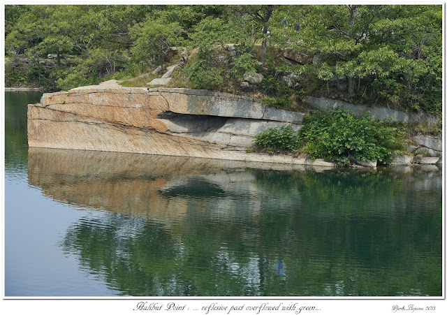 Halibut Point: ... reflective past overflowed with green...