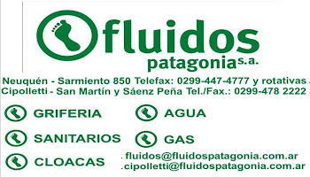 FLUÍDOS PATAGONIA s.a.