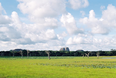 ATT00031.jpg