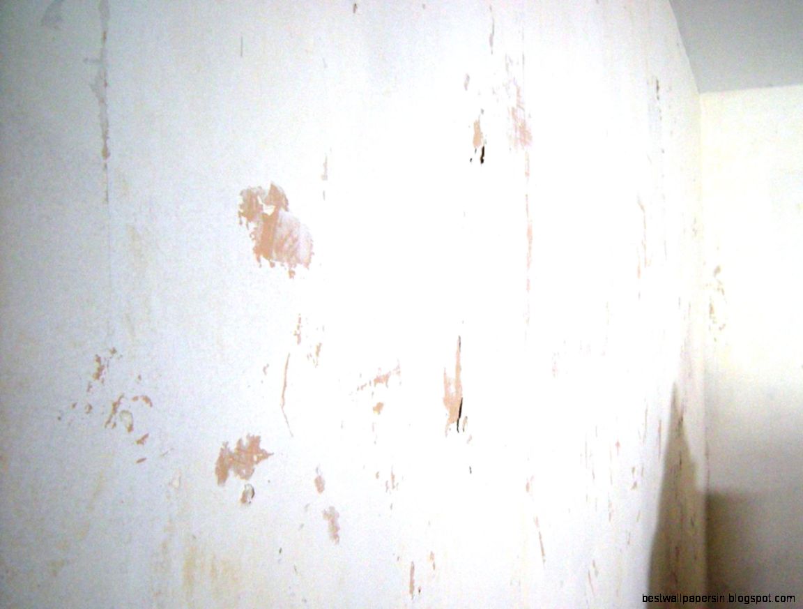 How to Remove Wallpaper Using Solvents or Steam  Interior Design