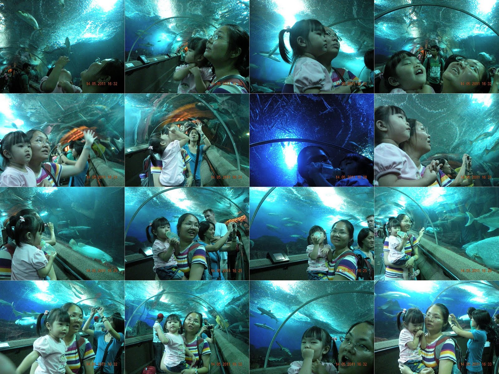 Xin Ying - My baby: Singapore Sentosa Underwater World