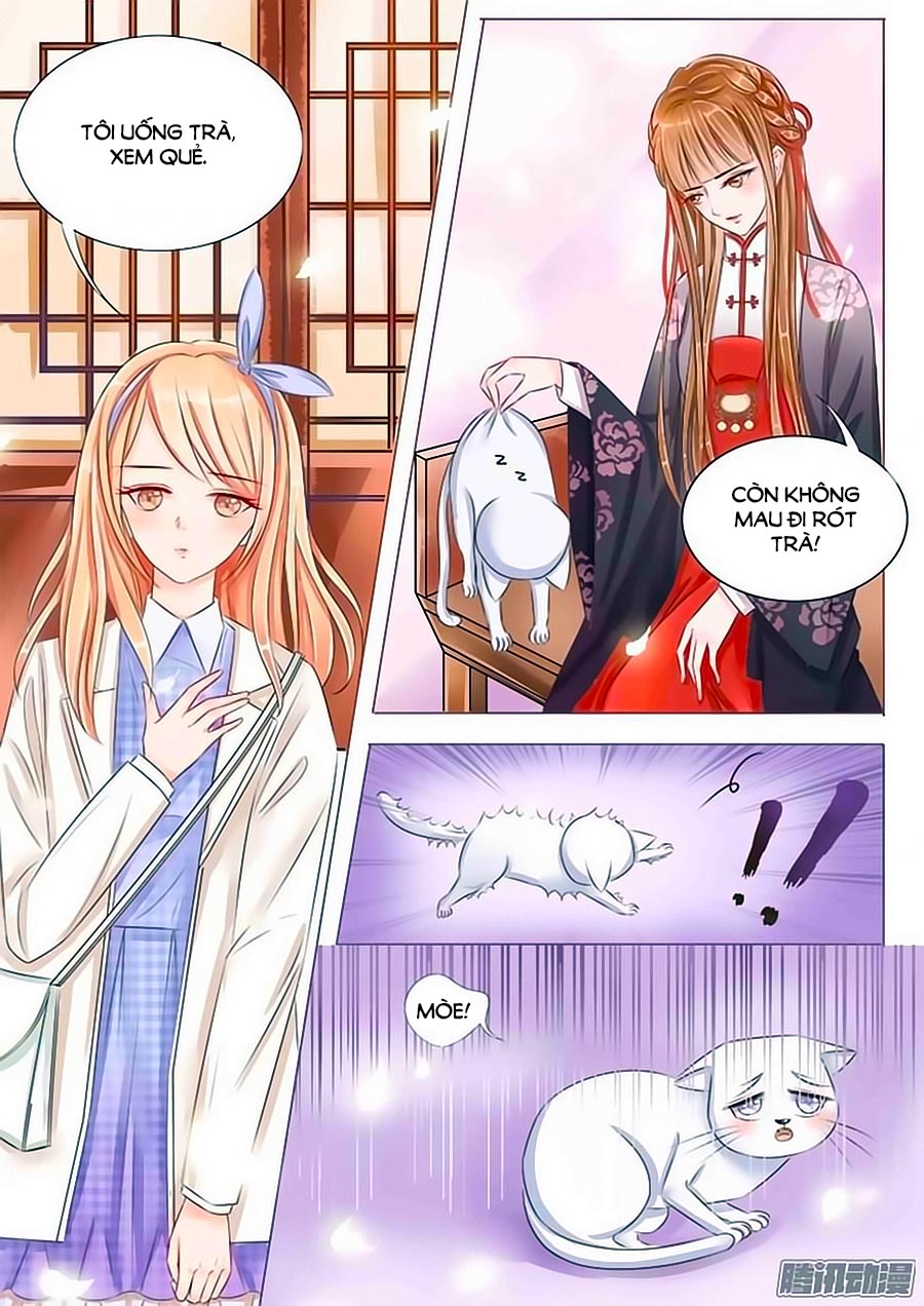 Chiêm Cốt Sư Chap 1 - Next Chap 2