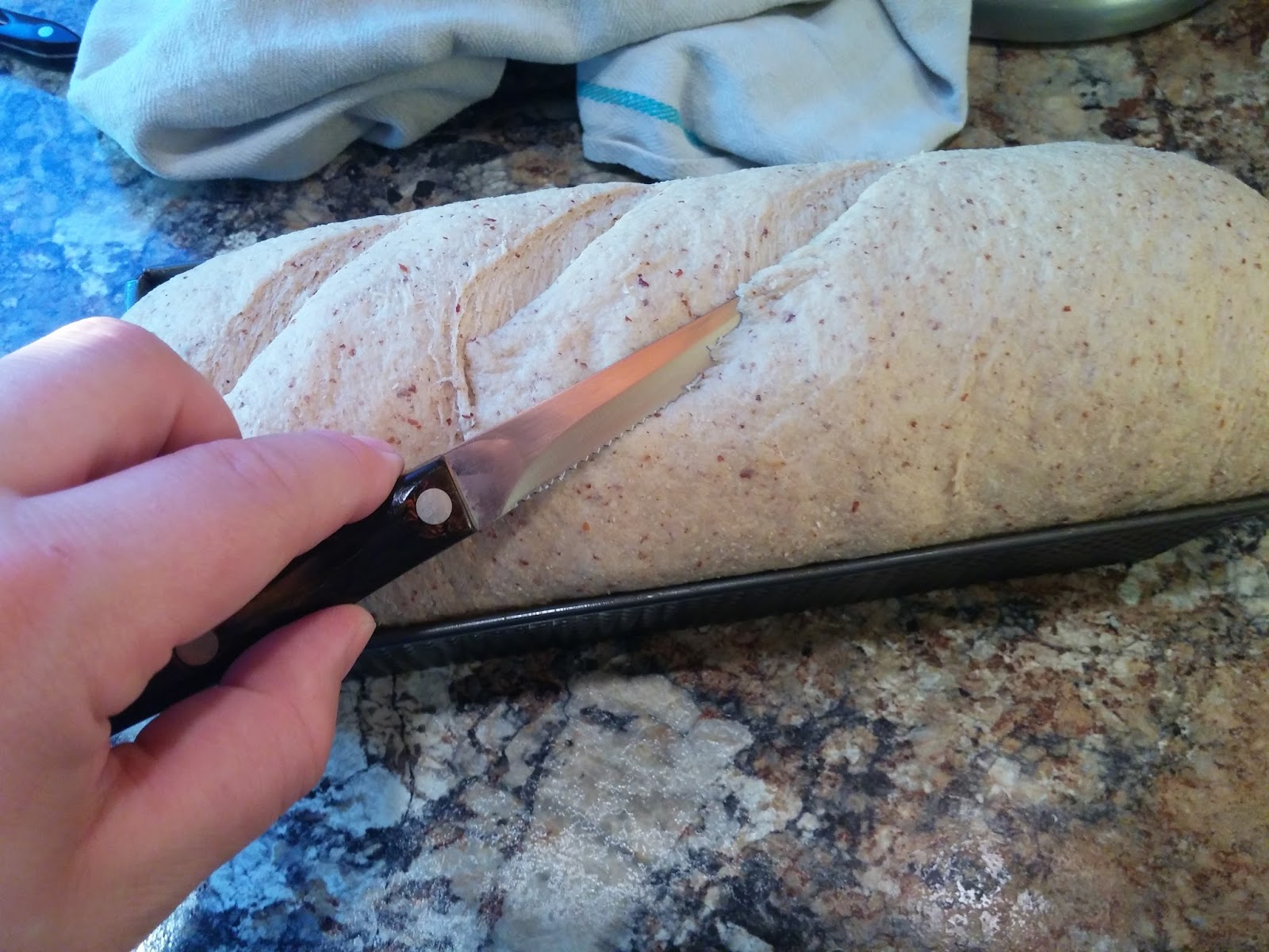 blade for scoring bread blade for scoring bread