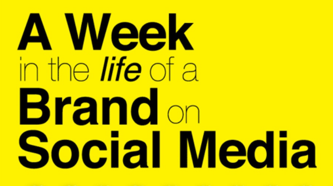 A Week in the Life of a Brand on Social Media - infographic - what brands were in 2012 and what they became in 2013