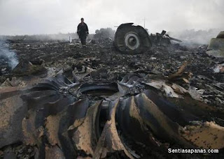 Malaysian Airlines MH17 (2014)