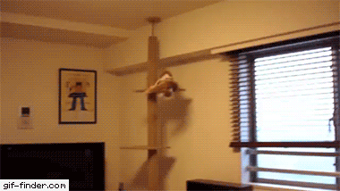 Https Encrypted Tbn0 Gstatic Com Images Q Tbn 3aand9gcrzegay B4agm7jjbjbavtoo0elnmuz8wftzrm4e9pieowwuoyd