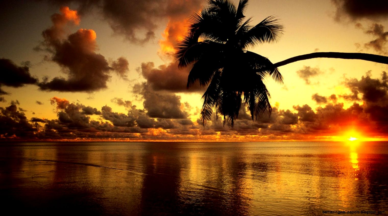 Daniel Sierra Sunset Beach Wallpapers for Desktop Backgrounds