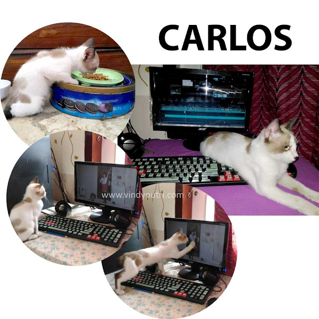 Carlos 