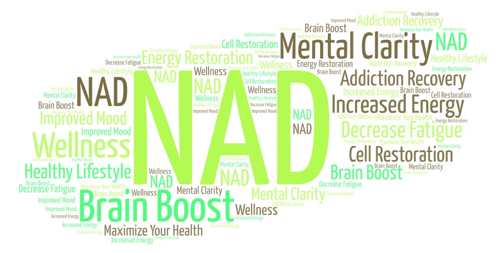 nad increase improve brain function