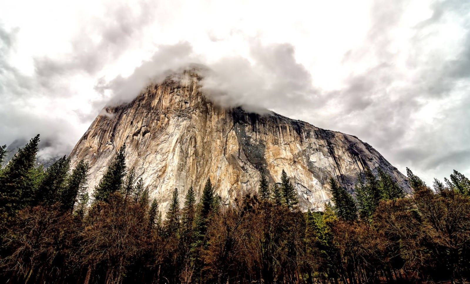el capitan wallpaper 12