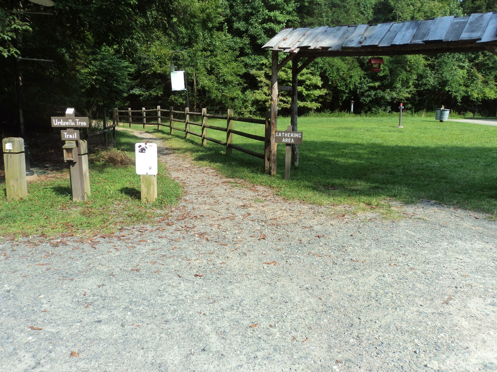 Parking Full Time Hiking Trail Journal Reedy Creek Park and Nature Preserve Umbrella Tree/Big