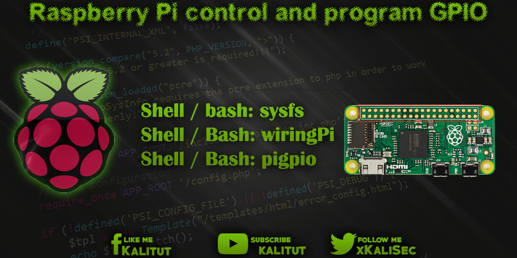 Raspberry Pi control and program GPIO