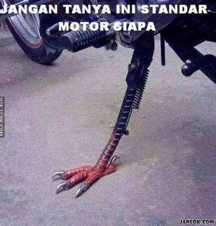 15 Meme Burung Ini Bikin Berpikir Yang Iya Iya Lucu Me