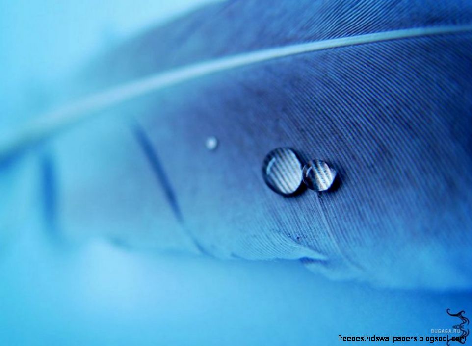 Desktop Wallpaper · Gallery · Windows 7 · Background Windows 7