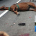 Homem e cavalo morrem atropelados na BR 324