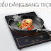Bếp hông ngoại SN003