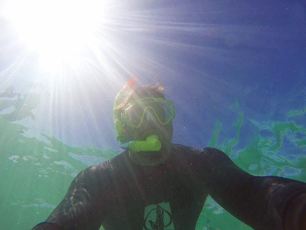 Exploring Miami Golden Beach Boulder Reef Snorkeling Starfish