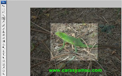 gambar misalnya ukuran gambar terlalu besar Cara Croping Foto di Adobe Photoshop CS3/CS4/CS5/CS6