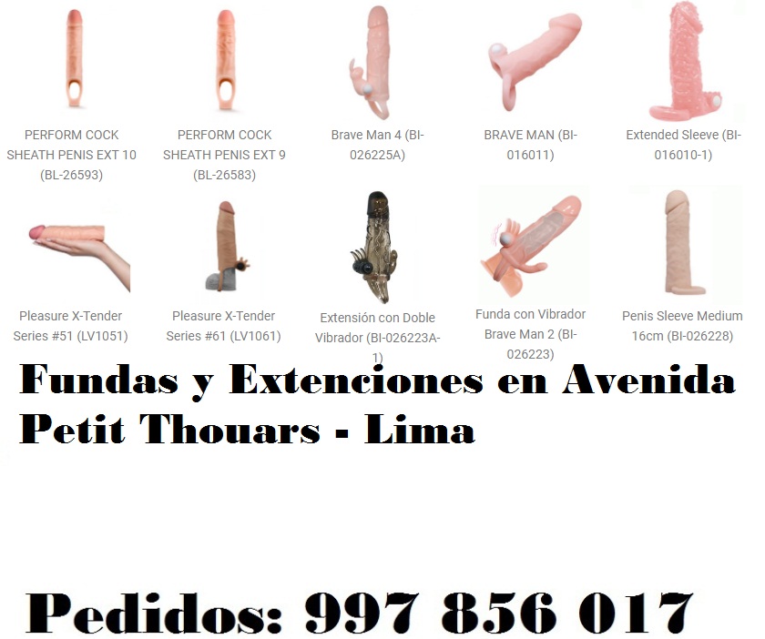 en Avenida Petit Thouars - Lima