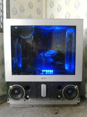 cara buat tv jadi aquarium