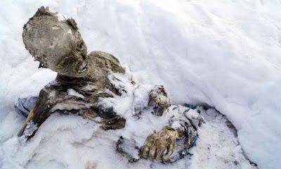 As diferentes fases do corpo humano após a morte Post Mortem, Algor Mortis, Cadáver