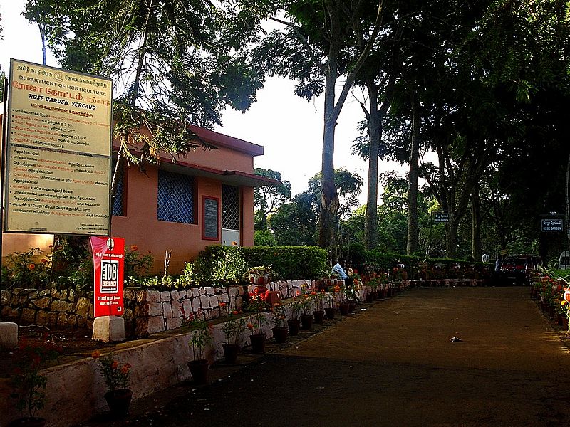 Tamilnadu Tourism Rose Garden, Yercaud