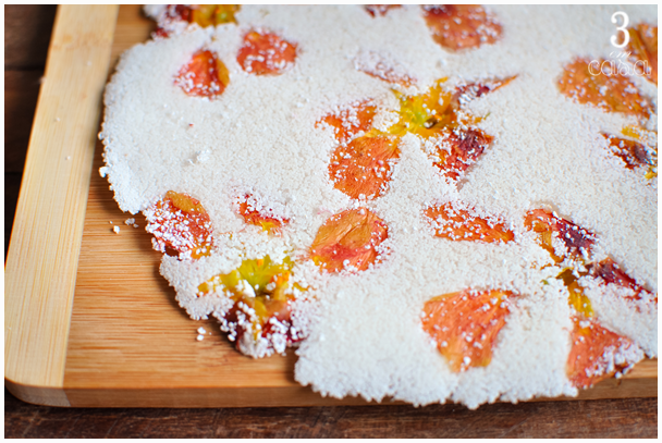 receita de tapioca foto