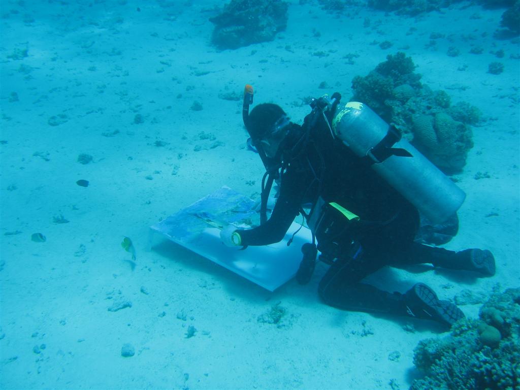 물속에서 그림 그리는 수중 화가 ALEXANDER BELOZOR | 인스티즈