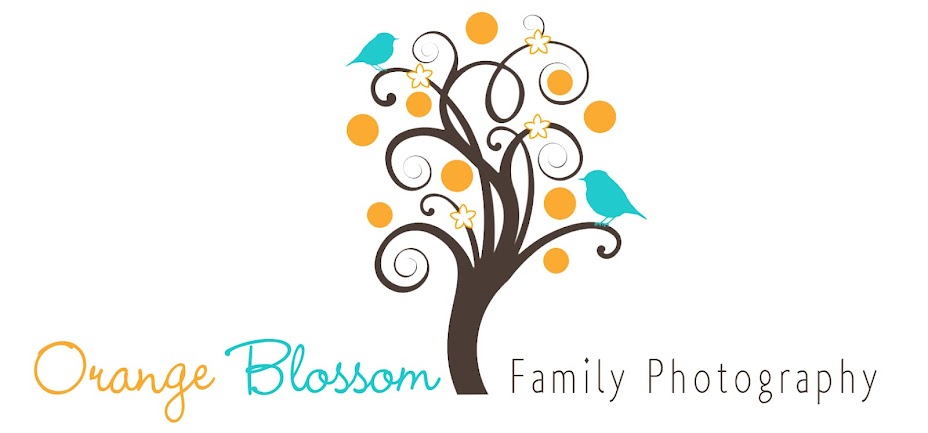 Orange Blossom Family Photography