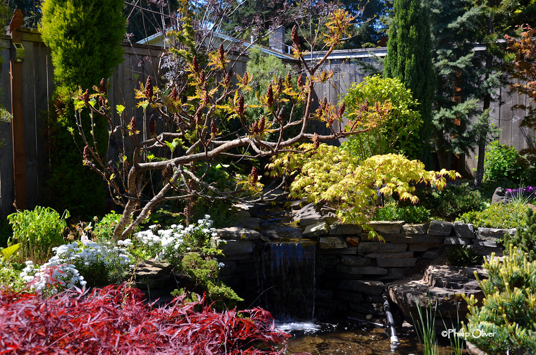 Open Gardens Bostwick garden