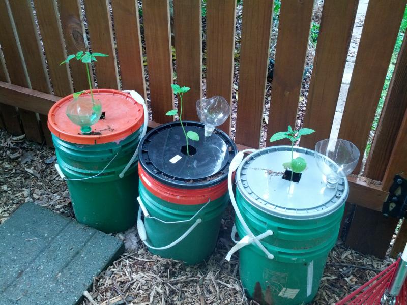 Delete the Nuts Another self watering 5gallon bucket