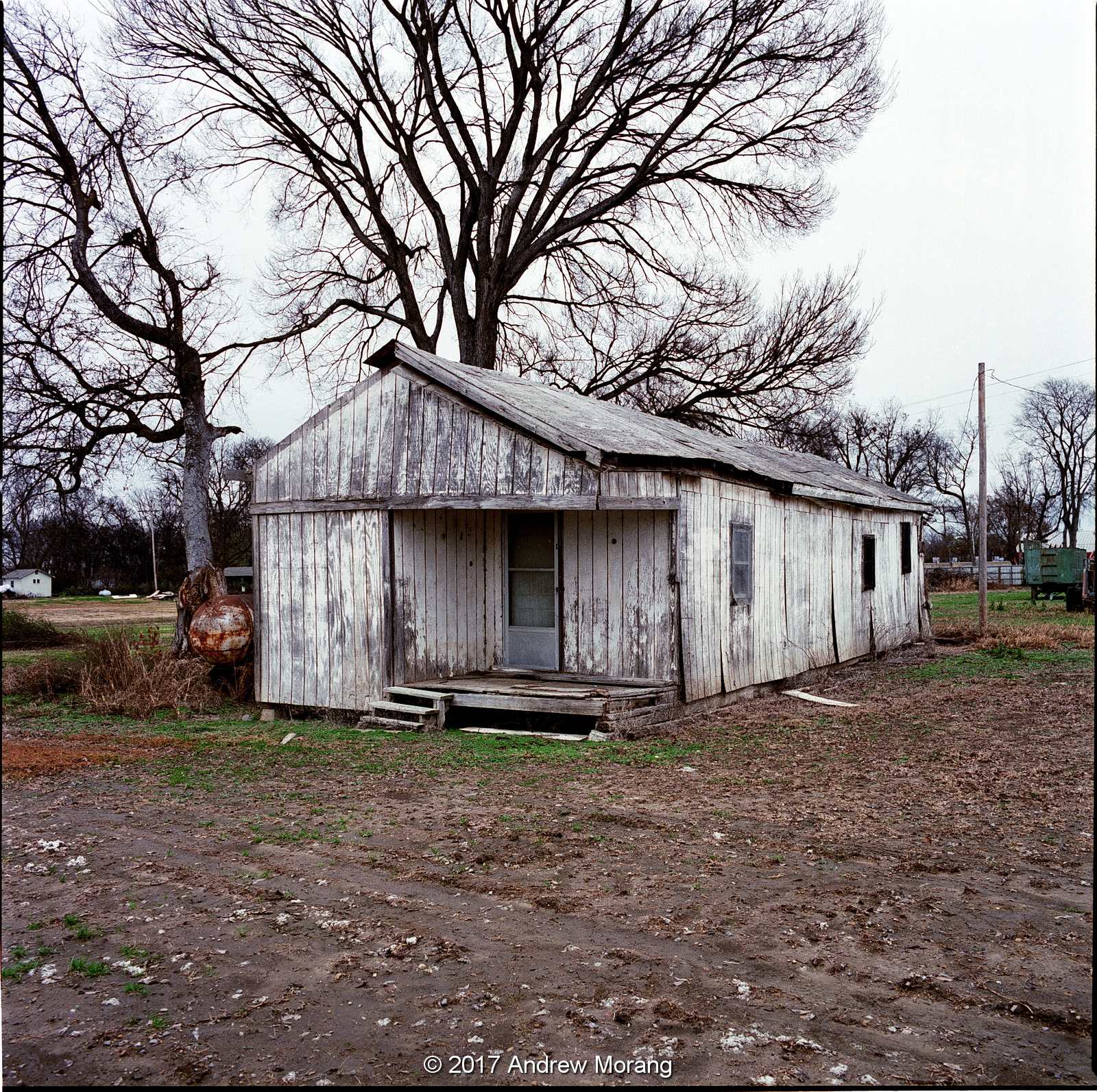 Urban Decay The Mississippi Delta 25 Avon