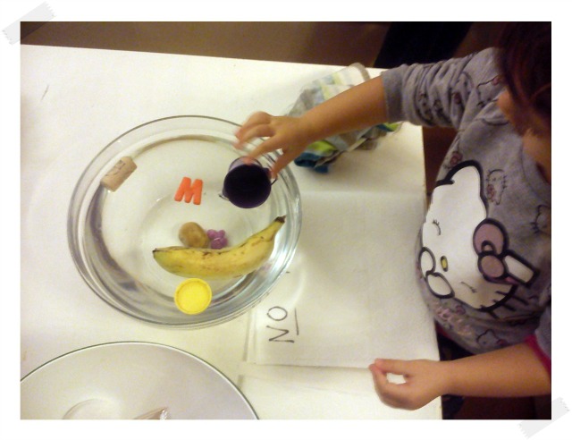 experimentos.caseros.divertidos experimentos.cientificos.niños