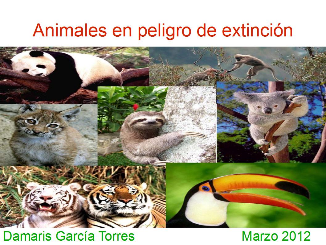 TIC en la educación ANIMALES EN PELIGRO DE EXTINCION TIC en la educación ANIMALES EN PELIGRO DE EXTINCION