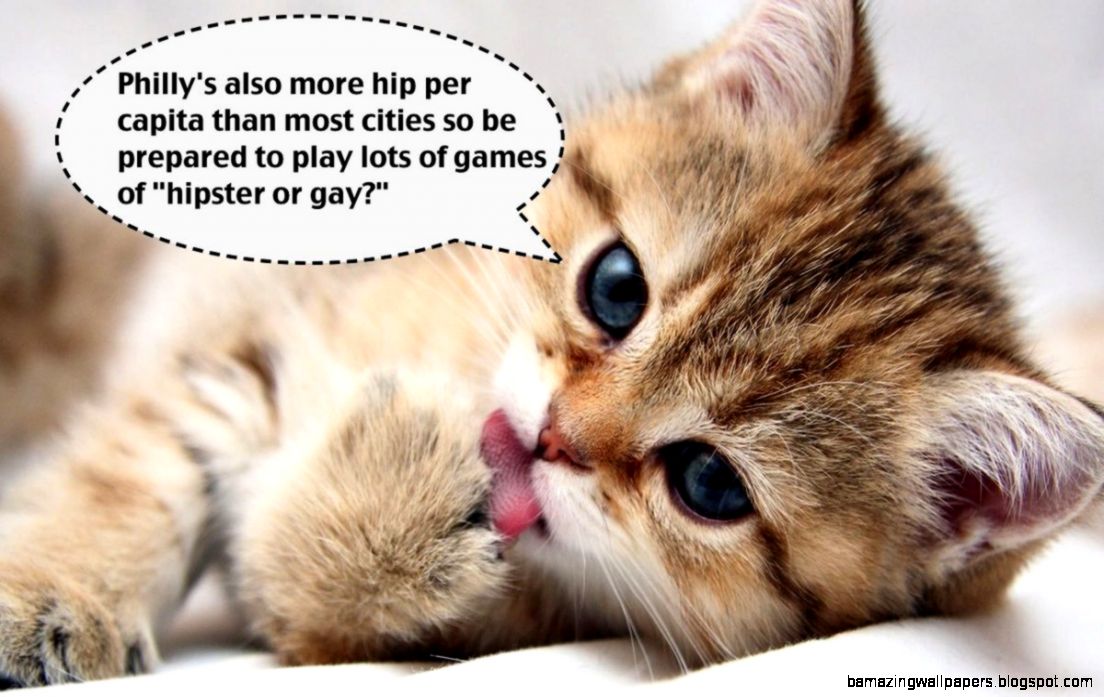 Cute Cat Images Sayings